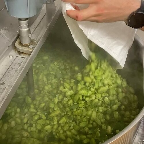 Unsere Azubis brauen ein Grünhopfenbier 💚🍻
Vor kurzem machten unsere angehenden Brauer und Mälzer einen Ausflug zur...